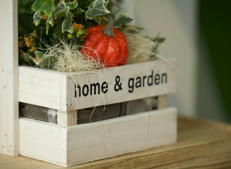 Crate with veges in it