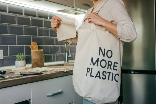 Embracing a Green Lifestyle: Ways to Become More Eco-Friendly