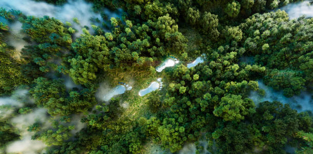 Footprint-shaped lake in a verdant forest, emblematic of human impact on terrain, with undertones of climate protection and nature conservation. 3d rendering.