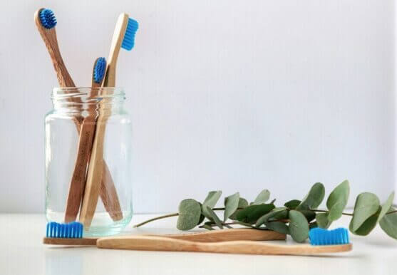 bamboo toothbrushes