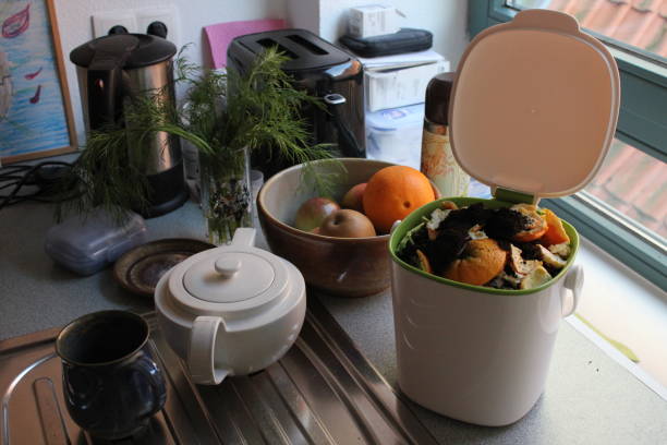 Indoor composter on kitchen counter filled with food scraps