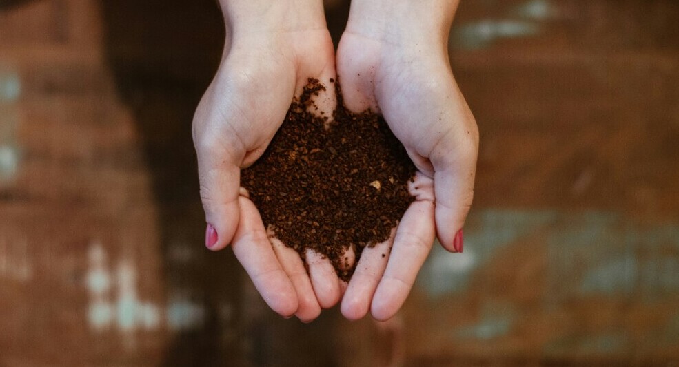 womans hands holding compost