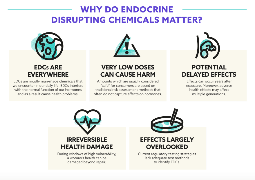 Factsheet How our endocrine system is affected by chemicals