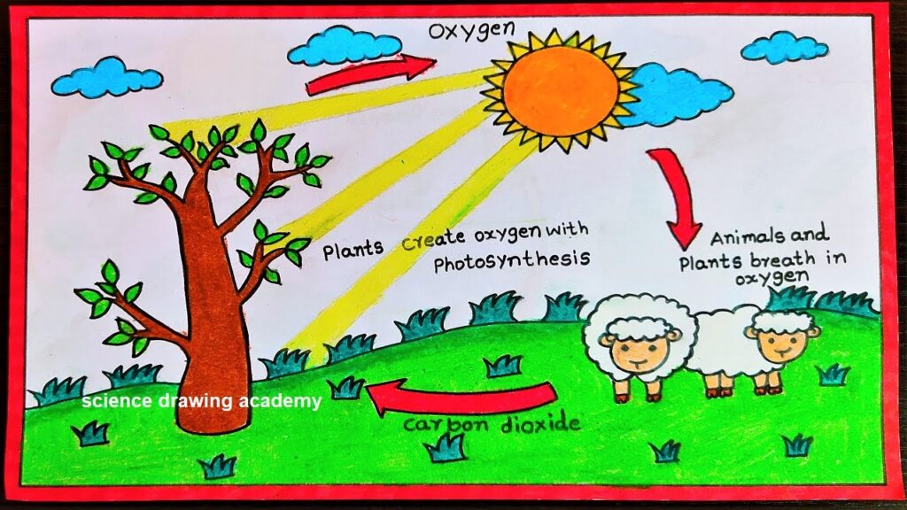 Bright and Colourful Ecosystem diagram