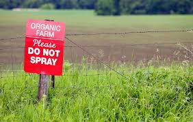 Field of crops with a "do not spray" sign