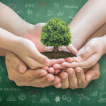 Adult and Childrens hands holding a miniature tree in their palms