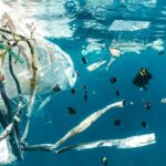 ocean polluted with plastic