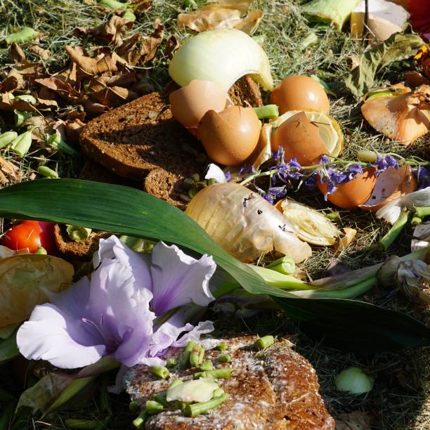 Composting kitchen waste is a great way to make soil for your garden that's high in nutrients. The sun makes this a colorful display of decaying material.